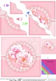 A Touch of Elegance Flowers Pearls and Lace Wavey Corner Stacker
