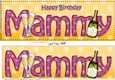 Large DL Happy Birthday MAMMY 3D decoupage with Champagne