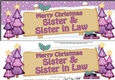 Large DL Merry Christmas SISTER & SISTER IN LAW with Santa 3D decoupage