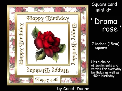 SC Drama rose