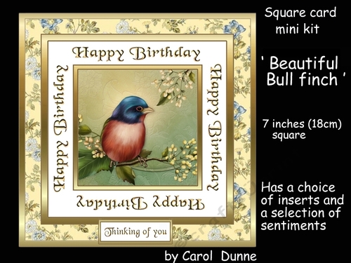 SC Bull finch