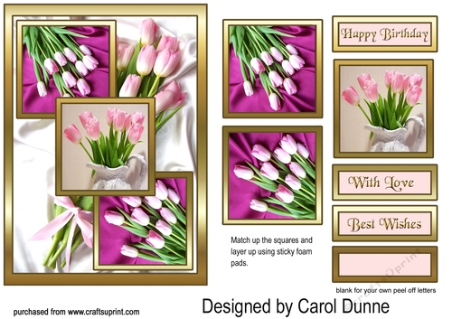 TS Pink tulips