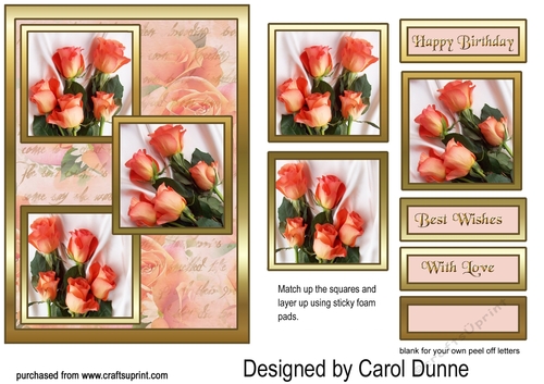 TS Peach roses
