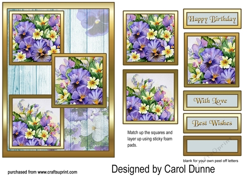 TS Pansies & primroses