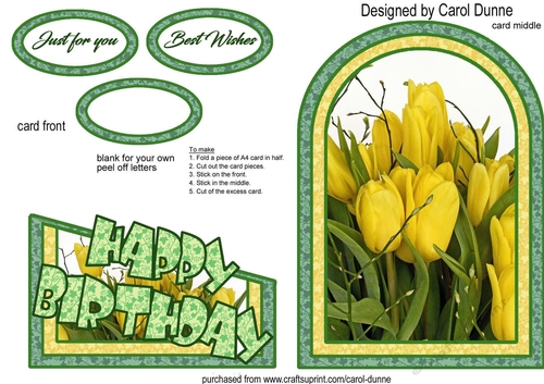 Cutaway Yellow Tulips