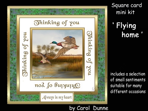 SC Flying home  - Thinking of you.