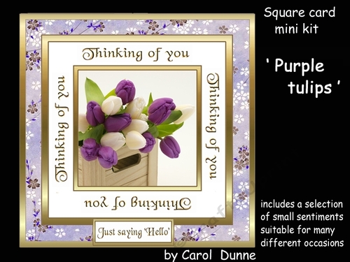 SC Purple tulips  - Thinking of you.