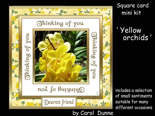 SC Yellow orchids - Thinking of you.