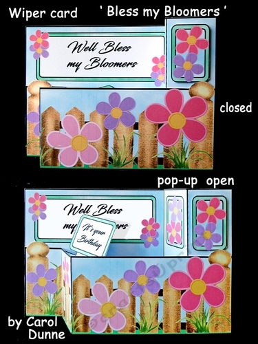 Wiper Bless my Bloomers