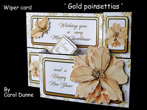 Wiper Gold poinsettias