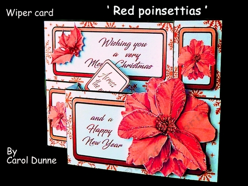 Wiper Red poinsettias