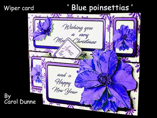 Wiper Blue poinsettias