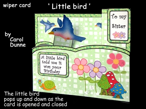 Wiper Little Bird BD