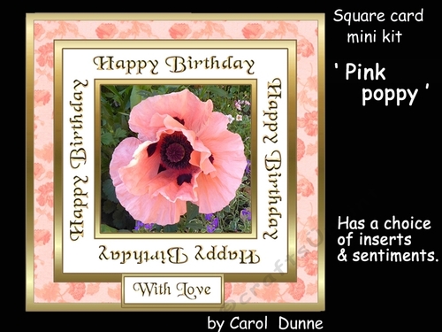 SC Pink poppy BD
