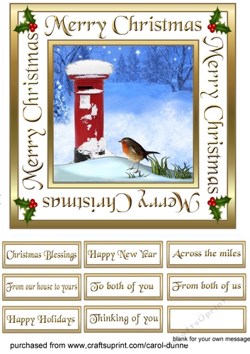 SC Robin & Post box 7inch