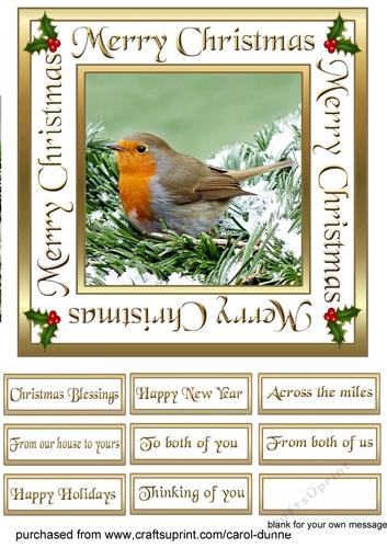 SC Robin in a snowy tree 7inch