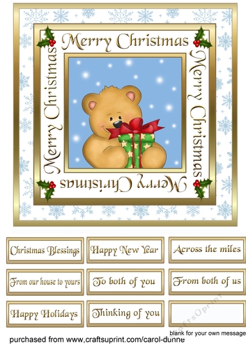 SC Bear with a gift