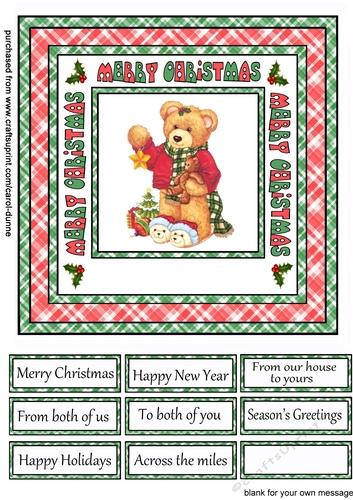 SC Christmas teddy bear