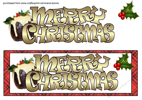 Christmas pudding DL (Large)