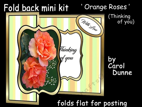 FB orange roses