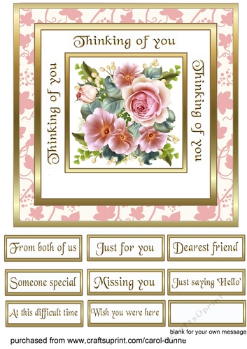 Lovely pink roses (Thinking of you)