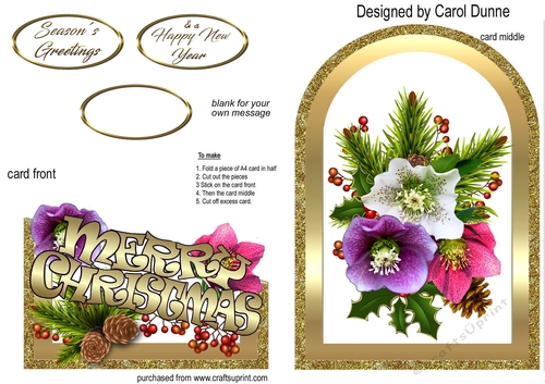 Cutaway Christmas Roses