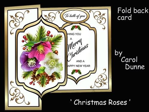 FB Christmas Roses