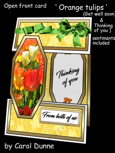 Open front OrangeTulips GWS