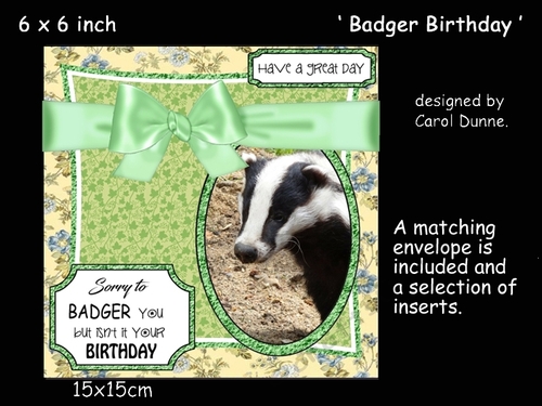 Badger Birthday 6 x 6