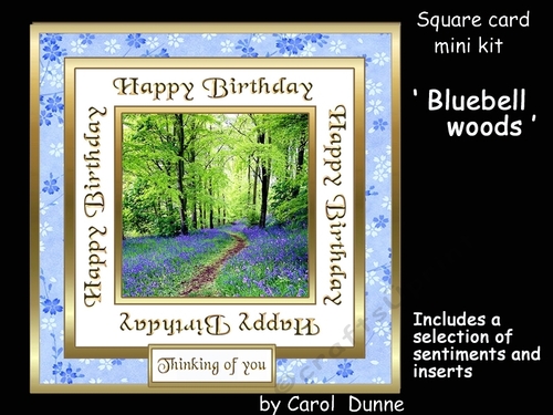 SC Bluebell woods