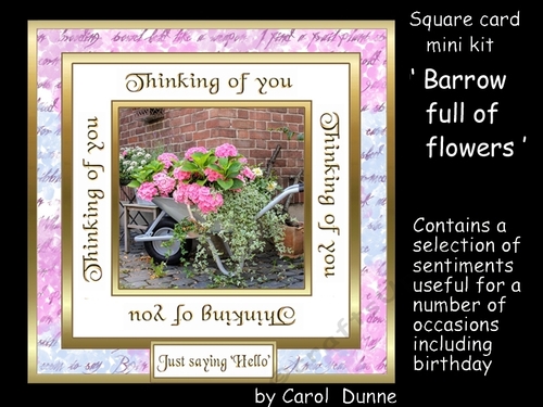SC Barrow full of flowers