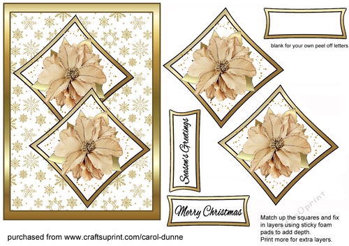 Two squares Gold Poinsettias
