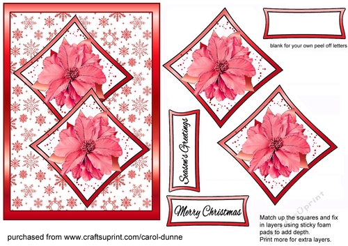 Two squares Red Poinsettias