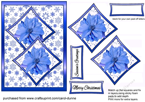 Two squares Blue Poinsettias