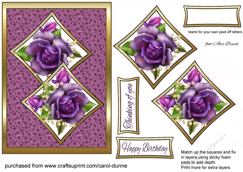 Two Squares Purple roses