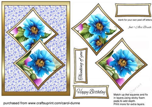 Two Squares Blue poppies