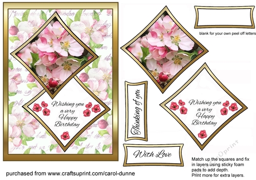 Two squares Apple Blossom