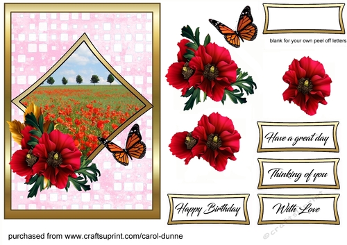 Poppy field Card front