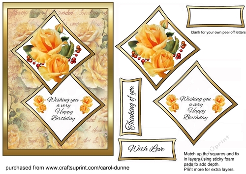 Two squares Yellow Roses HB