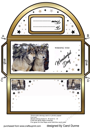 Money wallet Wolves