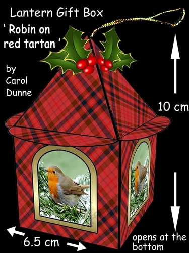 Lantern Red tartan & robins