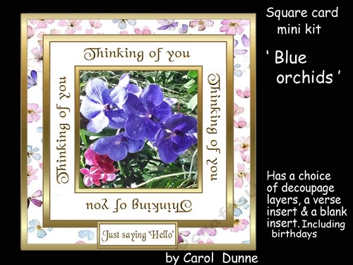 SC Blue orchids (Thinking of you)