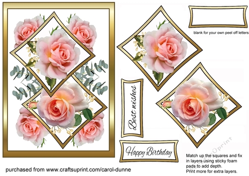 Two squares Pink roses Bday