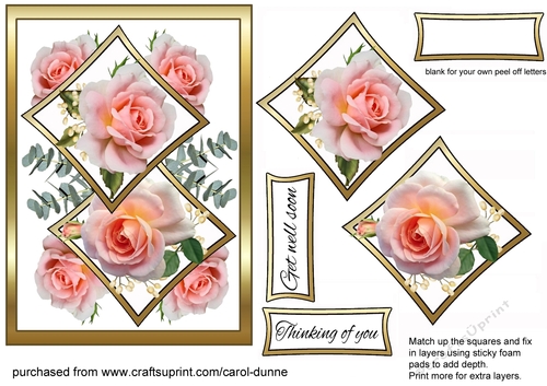 Two squares Pink roses GWS