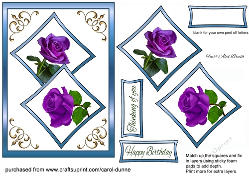 Two squares Purple rose, blue frame
