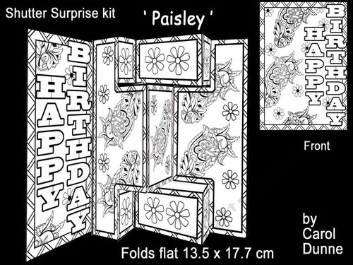 Shutter surprise Paisley