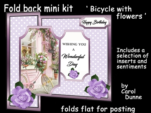 FB Bicycle with flowers