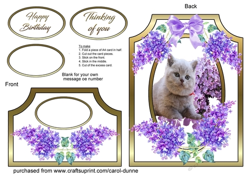 Cutaway Cat with lilacs