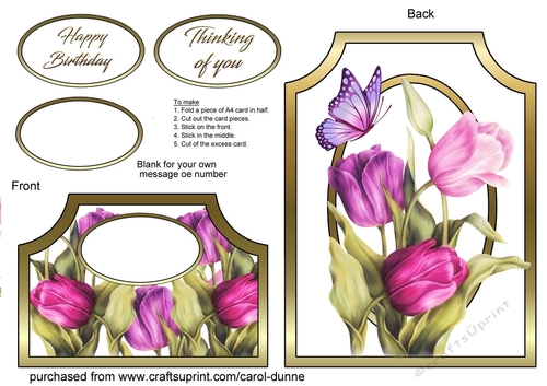 Cutaway Pink tulips