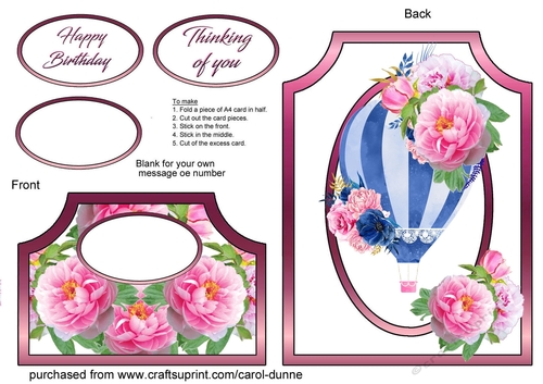 Cutaway Hot air balloon with peonies